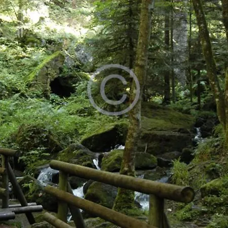 Grande Maison Avec Cheminée, Proche Nature, Idéale Pour Familles Et Amis, Animaux Admis. - Fr-1-589-229 Séjour à la campagne