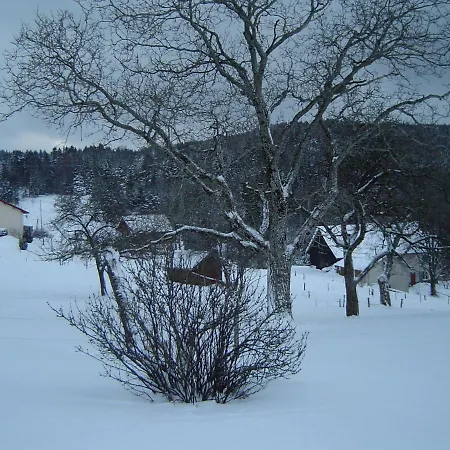 Grande Maison Avec Cheminée, Proche Nature, Idéale Pour Familles Et Amis, Animaux Admis. - Fr-1-589-229 Séjour à la campagne Rehaupal