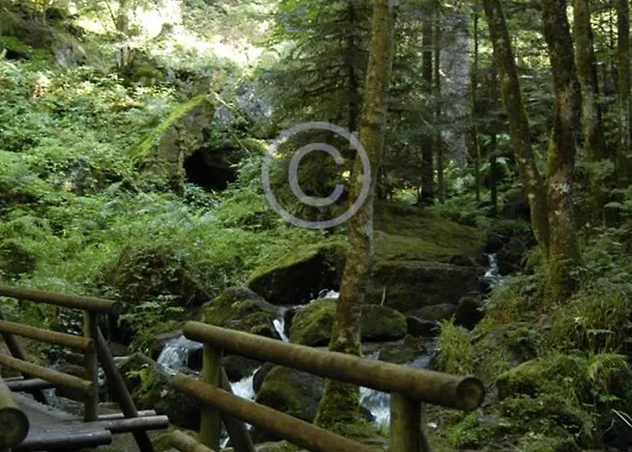 Grande Maison Avec Cheminee, Proche Nature, Ideale Pour Familles Et Amis, Animaux Admis. - Fr-1-589-229 Prázdninový dům