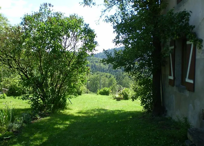 Grande Maison Avec Cheminee, Proche Nature, Ideale Pour Familles Et Amis, Animaux Admis. - Fr-1-589-229 Rehaupal