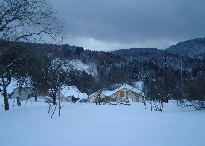 Grande Maison Avec Cheminee, Proche Nature, Ideale Pour Familles Et Amis, Animaux Admis. - Fr-1-589-229 Rehaupal