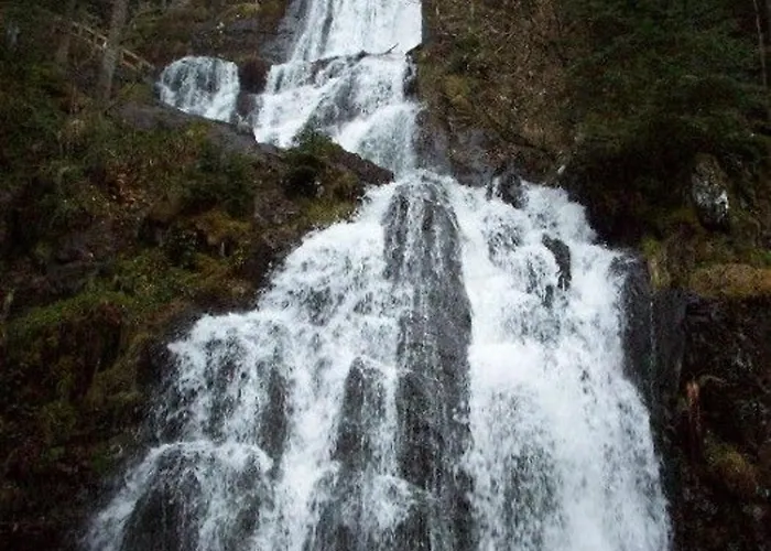 Grande Maison Avec Cheminee, Proche Nature, Ideale Pour Familles Et Amis, Animaux Admis. - Fr-1-589-229 Rehaupal